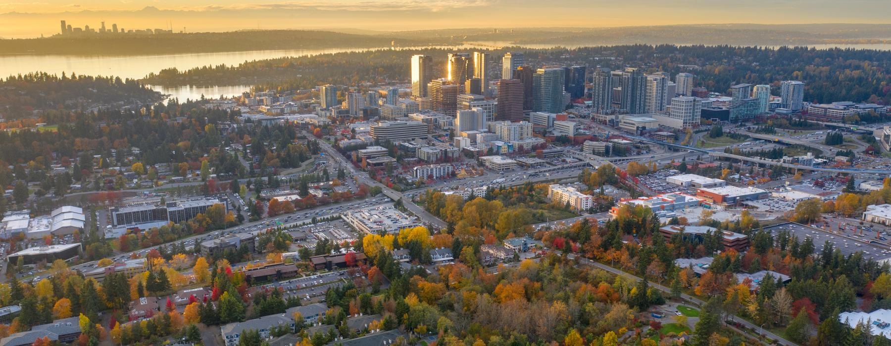 a city with many trees and buildings